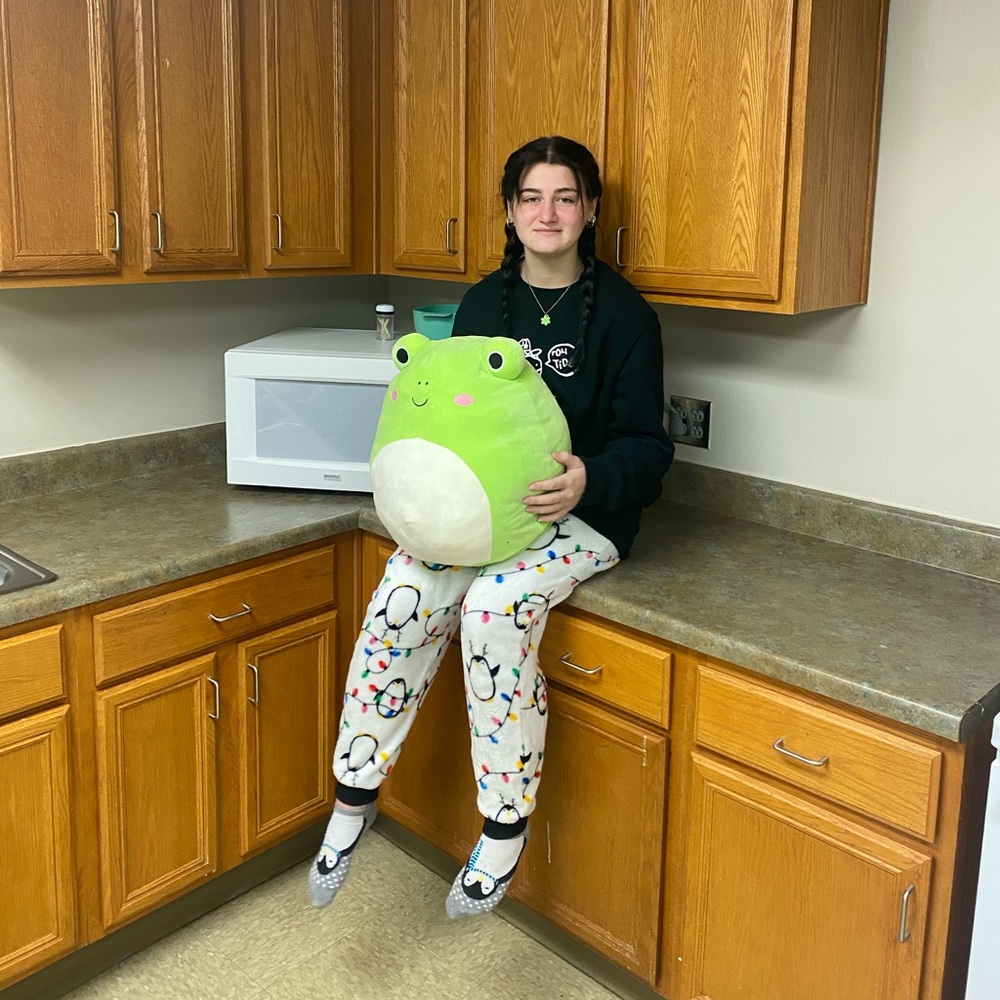 Meet your Posher, Ali